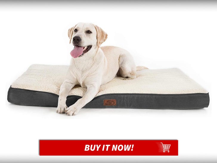 Bedsure-Dog-Bed-Large-Size-Dog-National-Dog-Day-Deals-MAIN