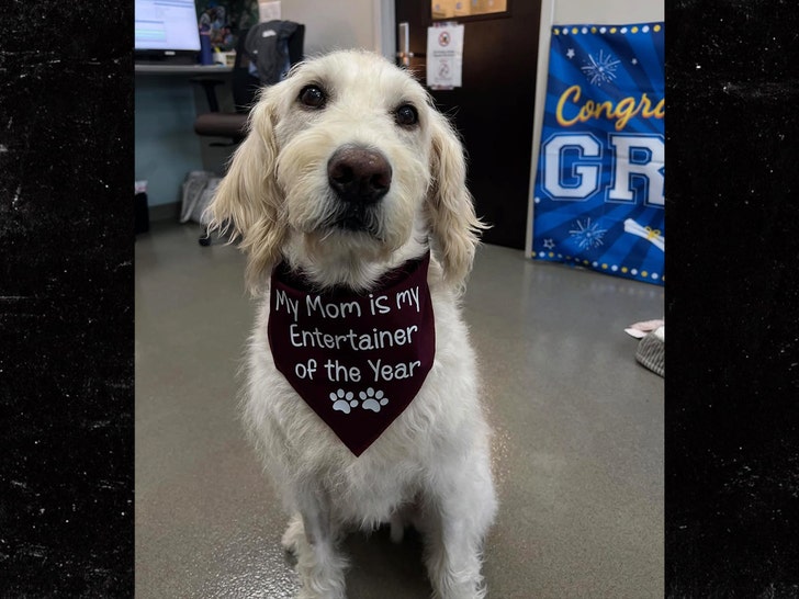 kelsea ballerini dog dibs insta 2