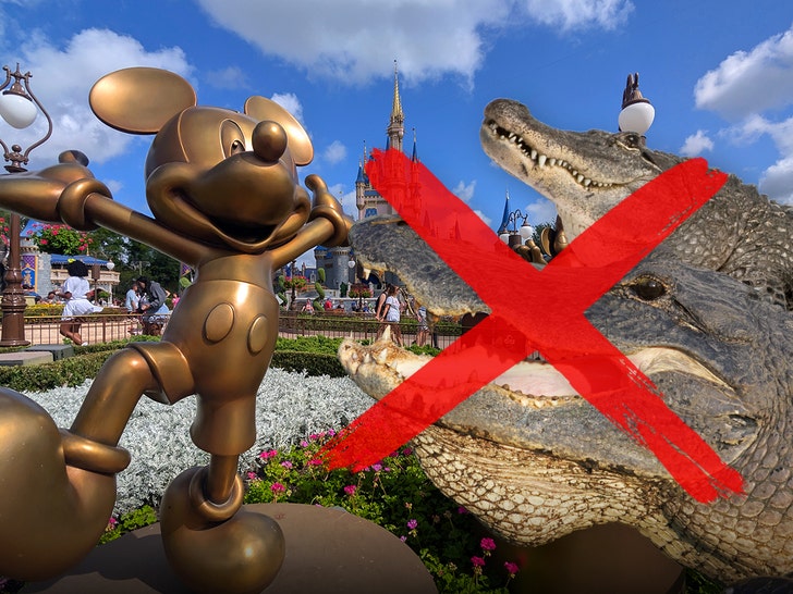 414 Alligators Removed From Disney World Since Toddler's Tragic Death