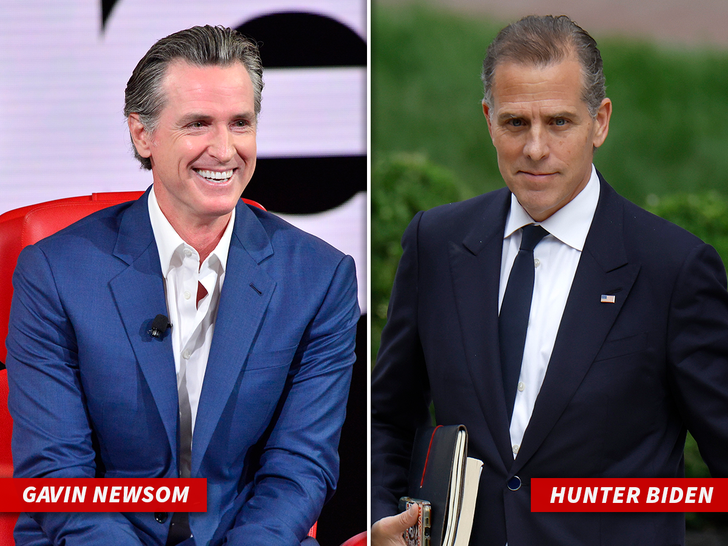 sub gavin newsom hunter biden getty