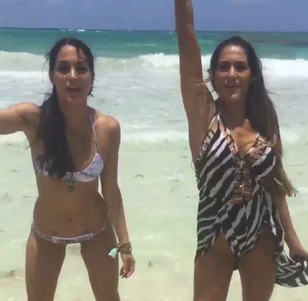 bella_twins_instagram28