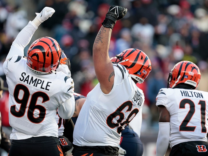 Cincinnati Bengals' Team Plane Makes Emergency Landing at JFK Following  Patriots Win 