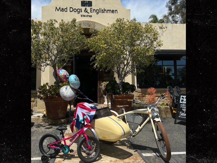 Mad dog bike shop hot sale