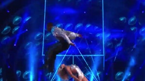 DeMarcus Ware Jumps Over Partner In 'DWTS' Debut