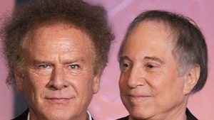 Art Garfunkel paul simon