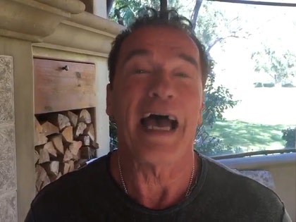 020217_arnold_primary