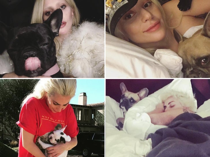 Lady Gaga And Her Dogs