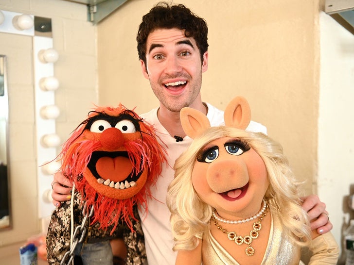 Celebs With Muppets