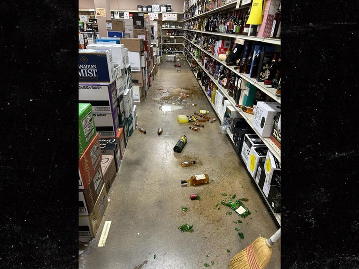 Drunken Racoon Apprehended After Ransacking Liquor Store, See The Photos 1 drunken racoon Hanover County Animal Protection and Shelter 1