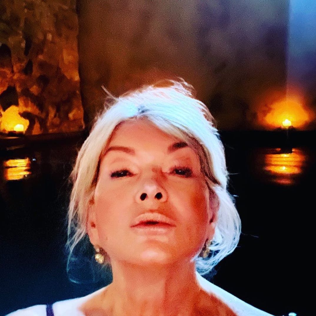 Martha Stewart Hot Shots 6
