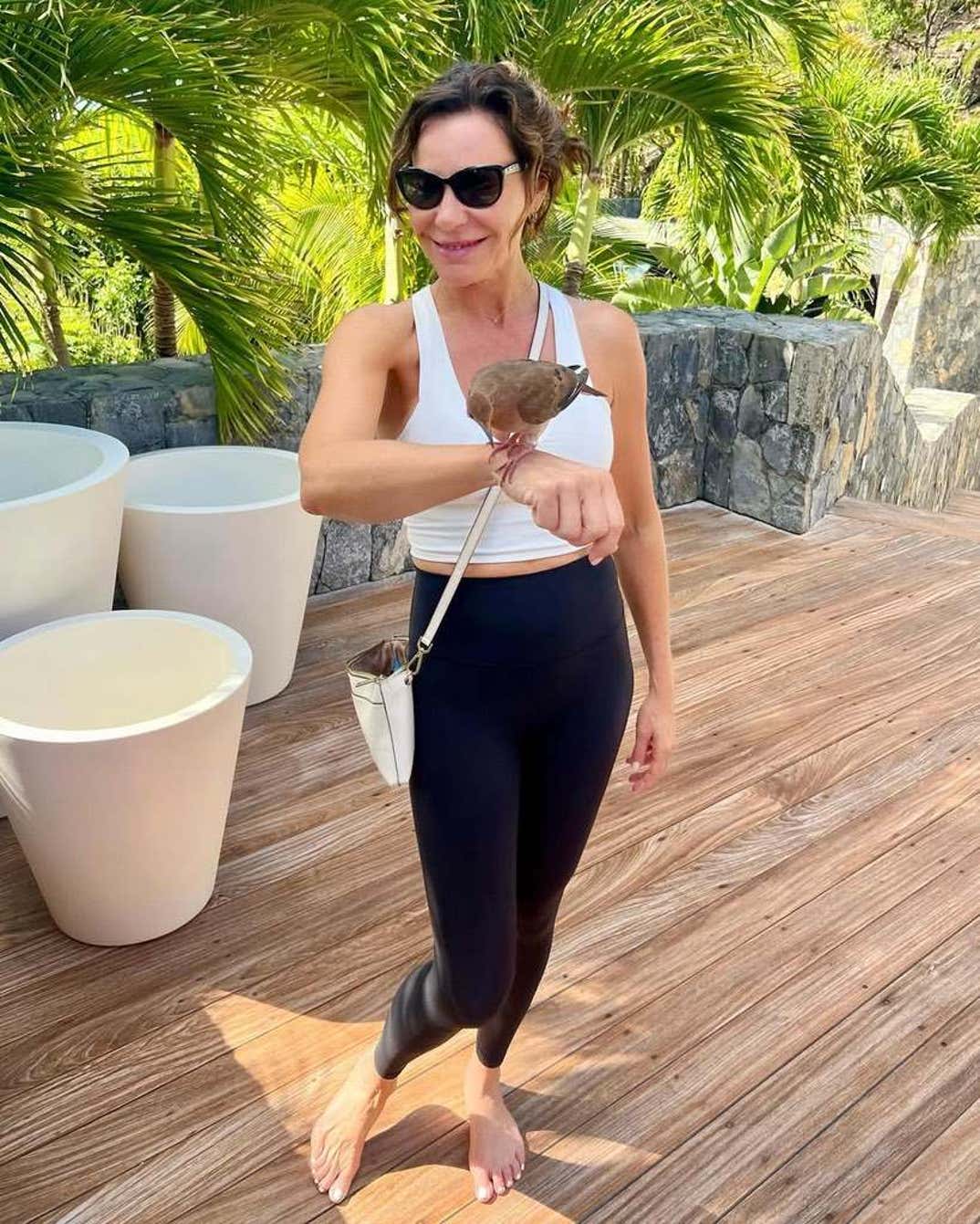 Luann de Lesseps