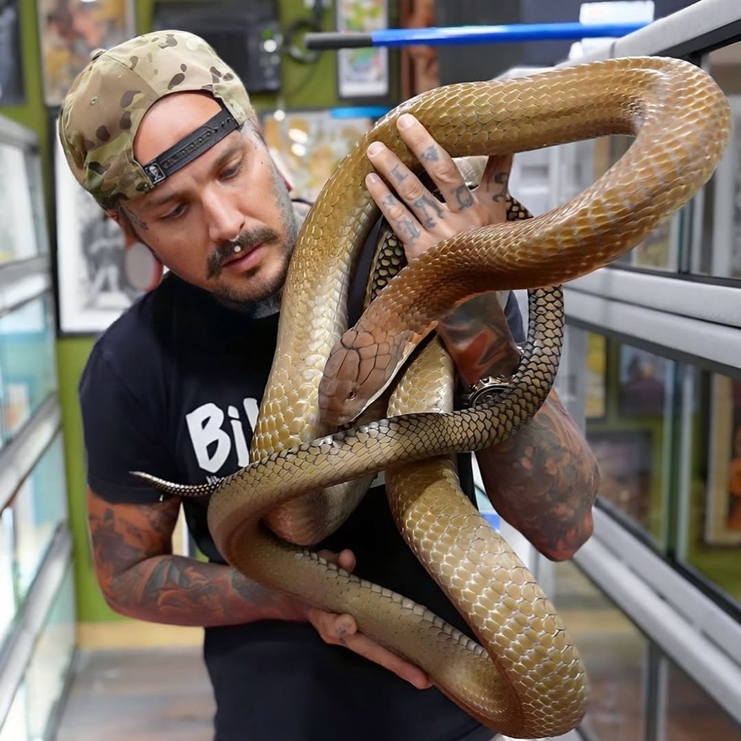 Tyler Noal Through The Years 5