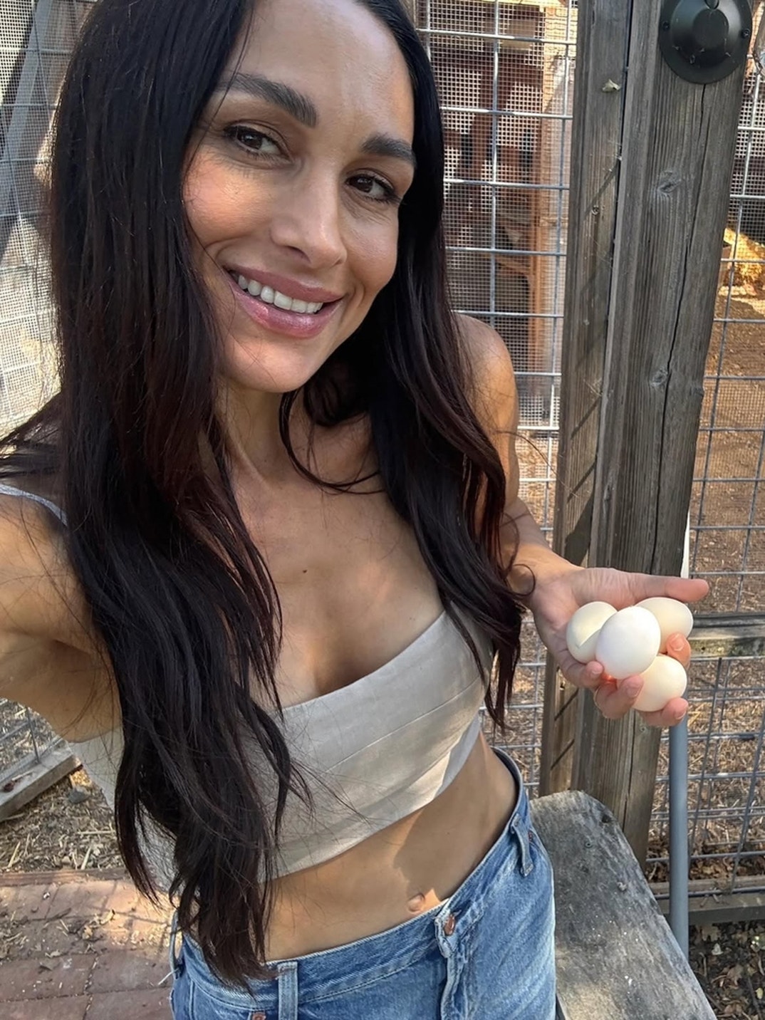 Brie Bella Hot Shots 3