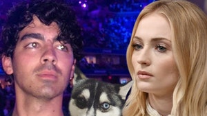 Joe Jonas and Sophie Turner Get Tattoos for Dog Hit by Car