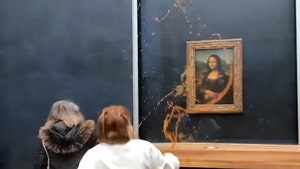 Mona Lisa hit by Protesters Who Threw Soup on Famed Painting at Louvre