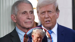 Fauci Trump Main Alt Getty Composite