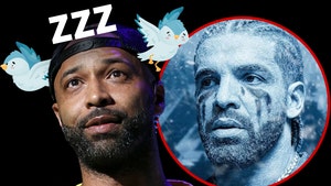 JO BUDDEN DRAKE BIRDS ZZZ getty comp