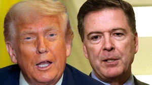 donlad trump  Jim Comey getty
