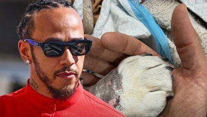 lewis hamilton and dog insta getty 3
