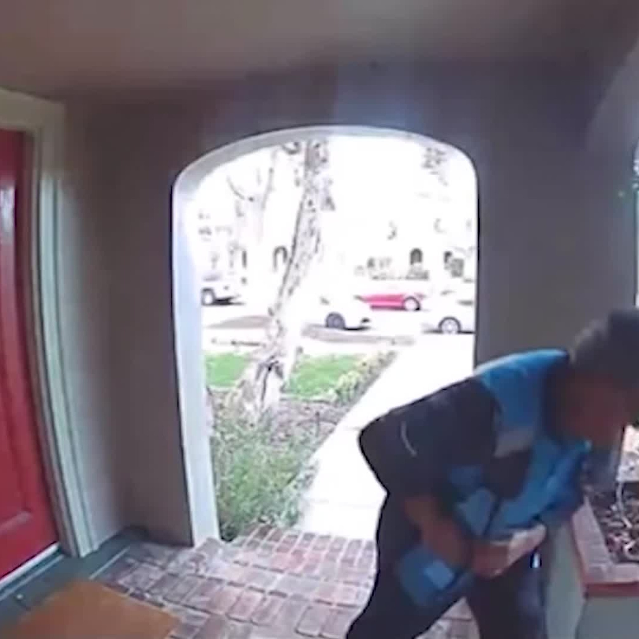Amazon Delivery Driver Caught Peeing in Homeowner's Driveway
