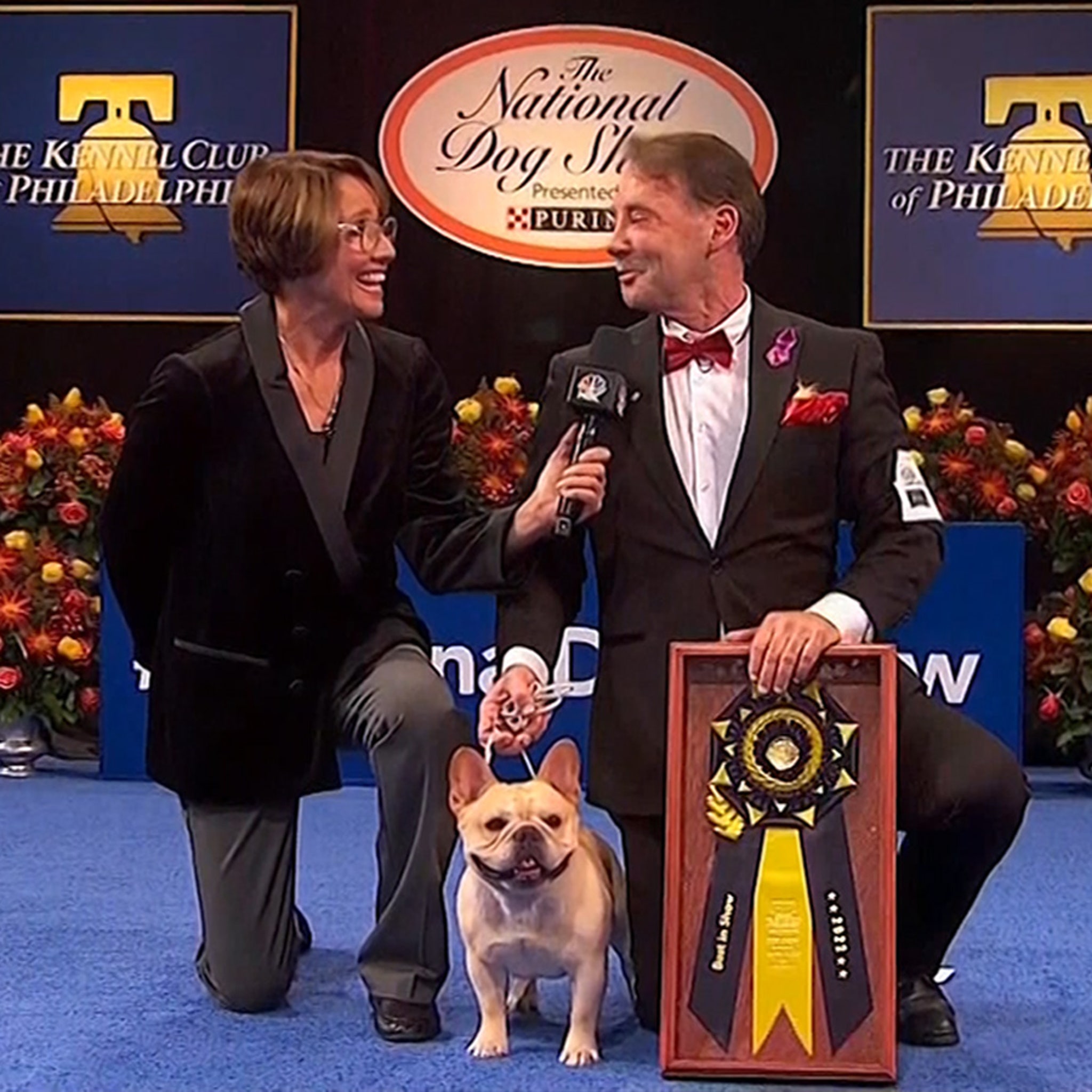 How Much Does The Winner Of The National Dog Show Get
