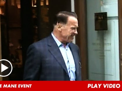 122112_arnold_schwarzenegger_launch