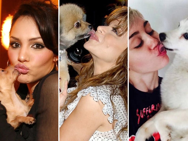 Besos de perritos famosos y descuidados: ¡amor de cachorro!