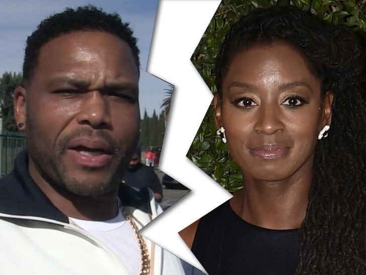 Anthony Anderson and Alvina Stewart divorce