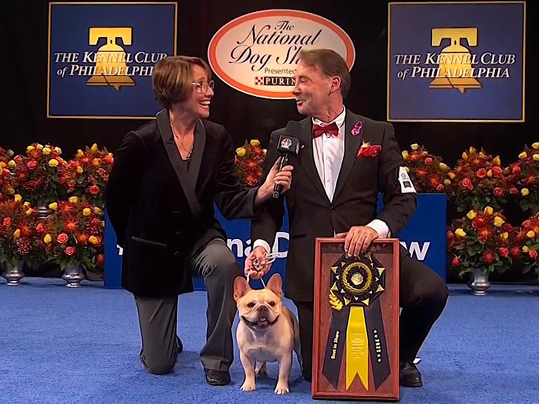 What Breed Of Dog Won The National Dogshow