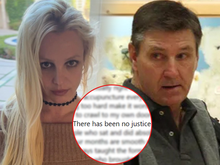 Britney Spears Blasts Parents, Claims She May Never Get Justice