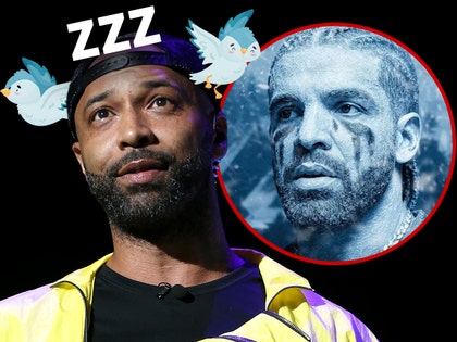 JO BUDDEN DRAKE BIRDS ZZZ getty comp