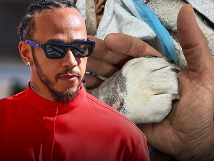 lewis hamilton and dog insta getty 3
