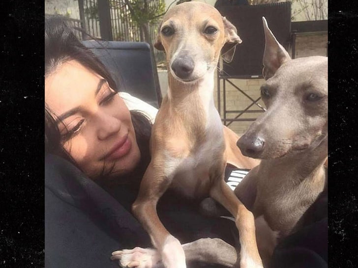 1022-Kylie-Jenner-Norman-Dog-SUB-1
