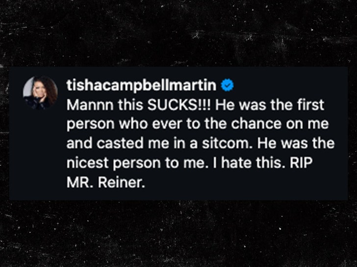 tisha campbell insta sub