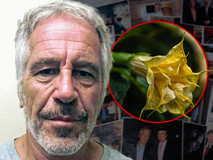 Planta de trompete de anjo Jeffrey Epstein Getty 1