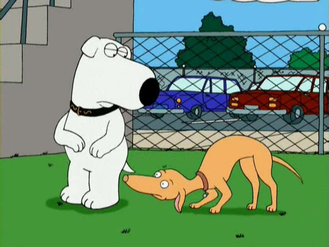 Brian Griffin / Mother Georgia コムデギャルソン 4296896010.jpg