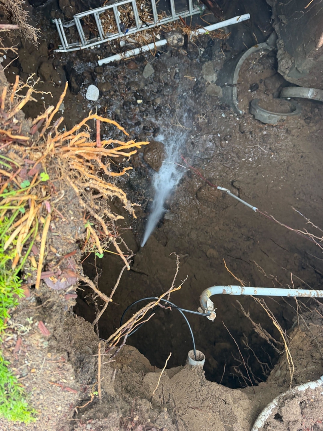 Nicolas Cage Sinkhole 4