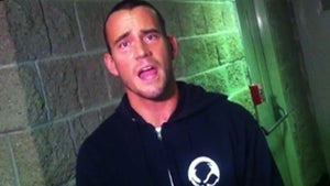 WWE Champ CM Punk -- Chris Brown is Dead Wrong ... I DON'T Use Steroids
