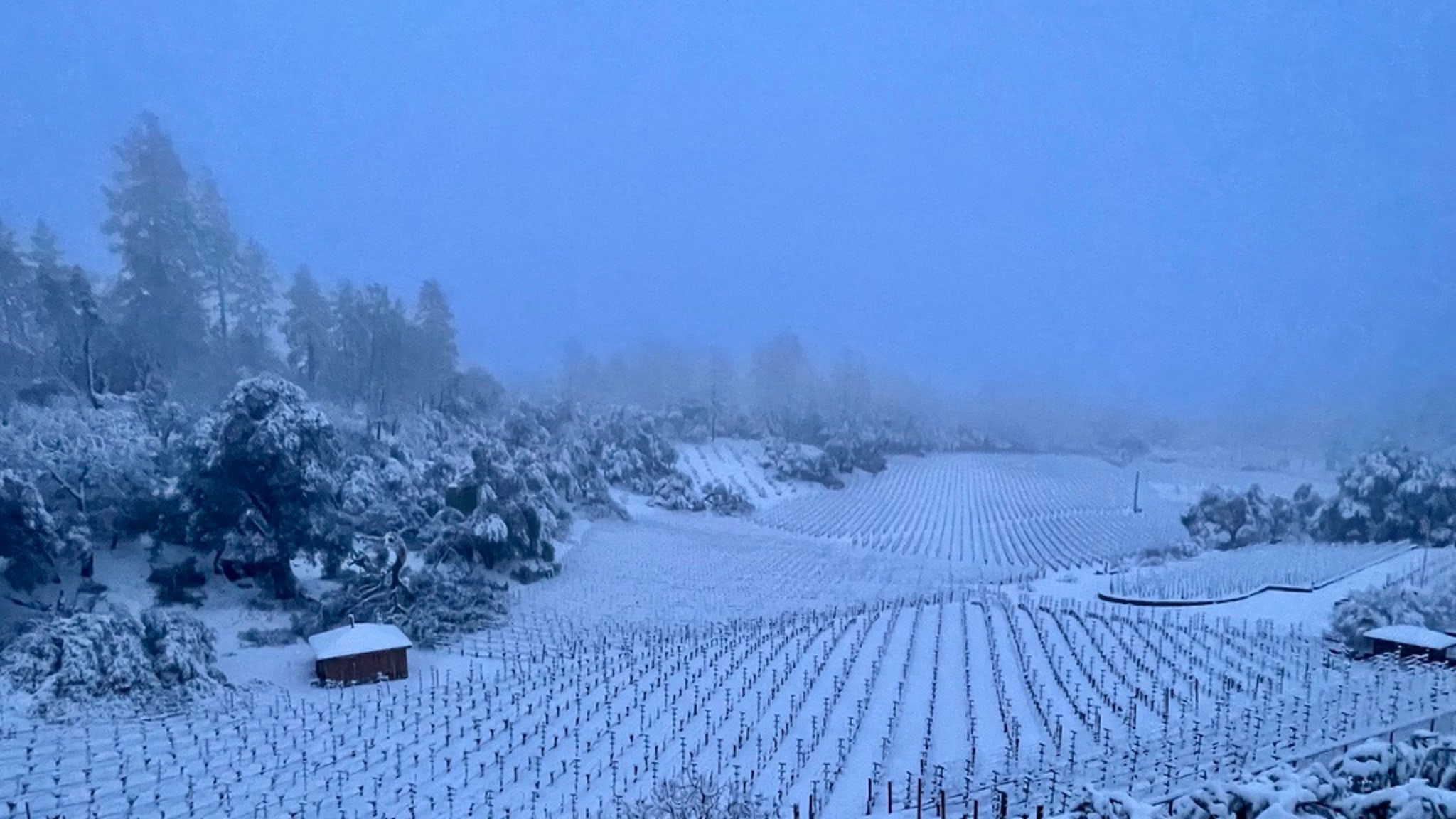 Famous Napa Valley Wineries Blanketed In Snow famous-napa-valley-wineries-blanketed-in-snow