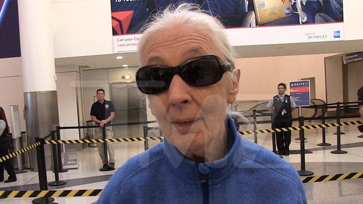 100125_jane_goodall