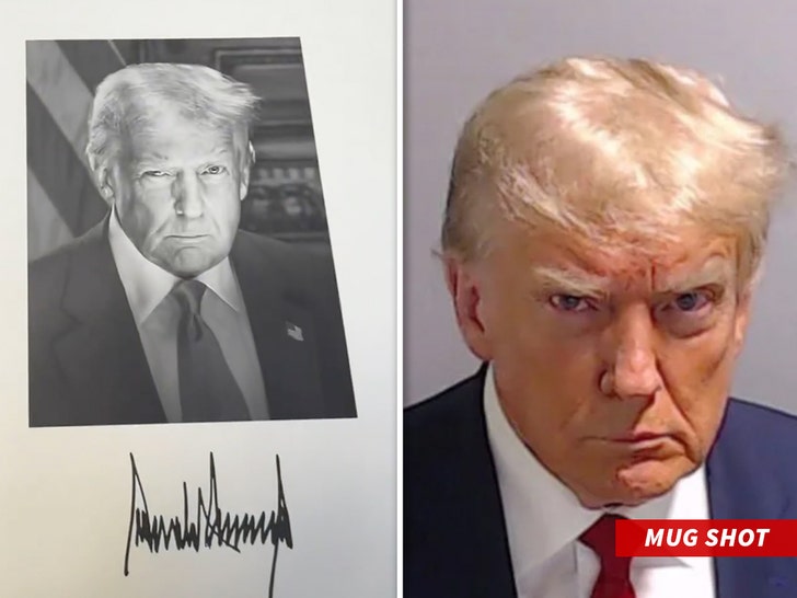 Donald Trump's inauguration photo, mug shot