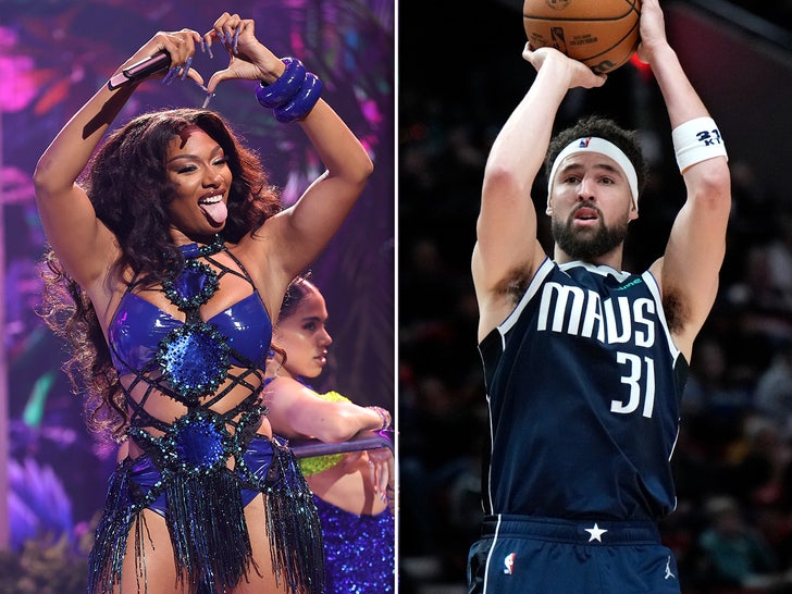 megan thee stallion klay thompson split sub getty