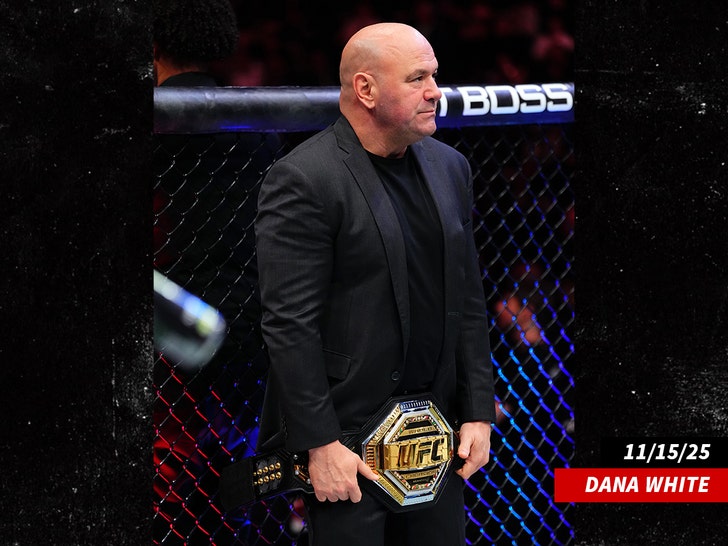 Dillon Danis Banned From UFC After Brawl, Dana White Says 1 dana white getty 1