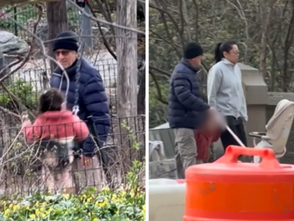 041326_robert_de_niro_primary