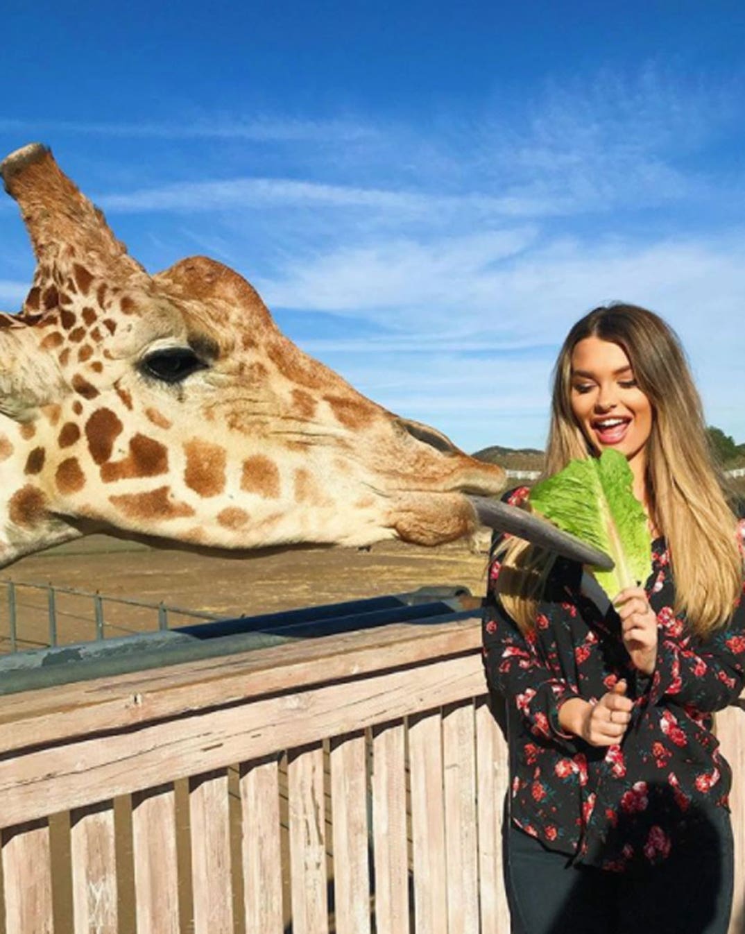 Emily Sears