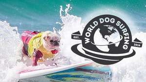 World Dog Surfing Championships Ban Small Dog Winner, Owner's a Pain