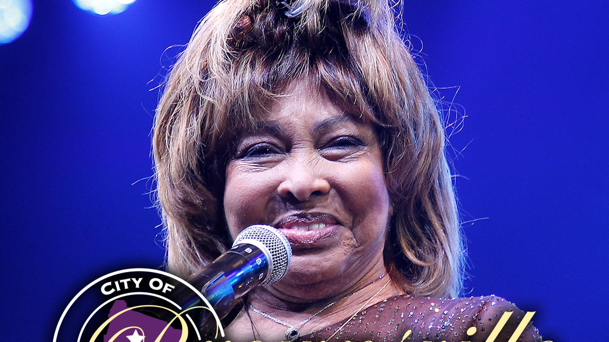 Tina Turner s Birthplace Planning To Build Statue In Her Honor