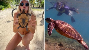 Stars Coming Out Of Their Shell -- Turtle Talk!