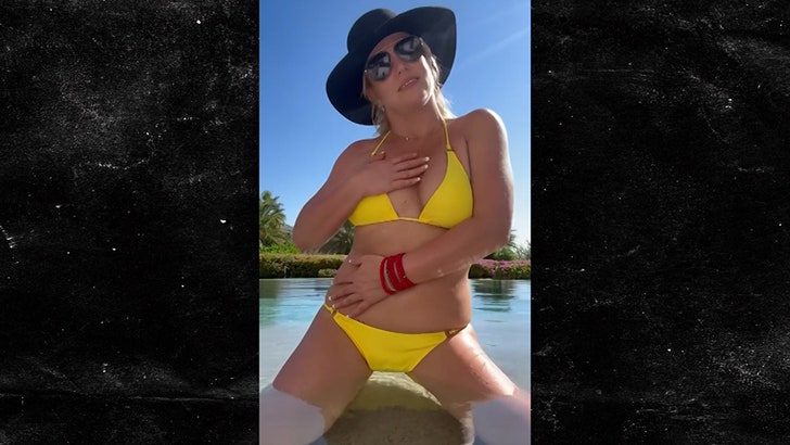 Britney Spears Sizzles as She Twerks in Teenie Weenie Yellow Bikini