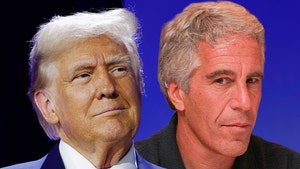 donald trump jeffrey epstein main getty